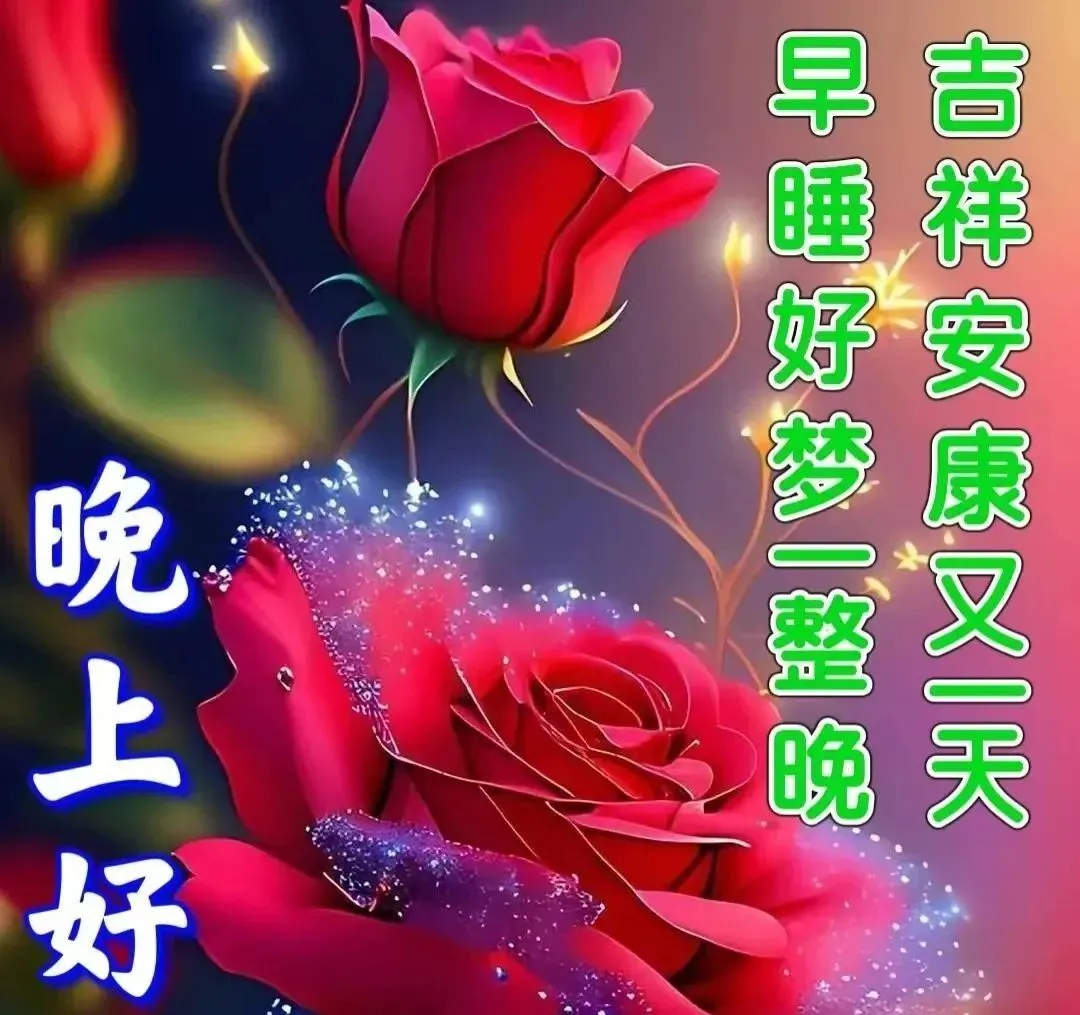 晚上好,晚安