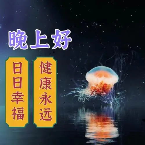 晚上好,晚安