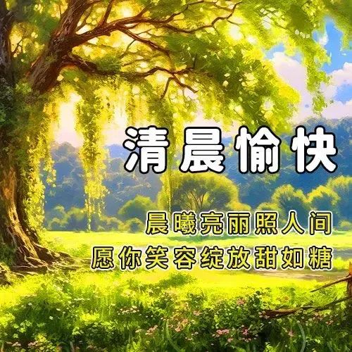 早安,早上好,上午好