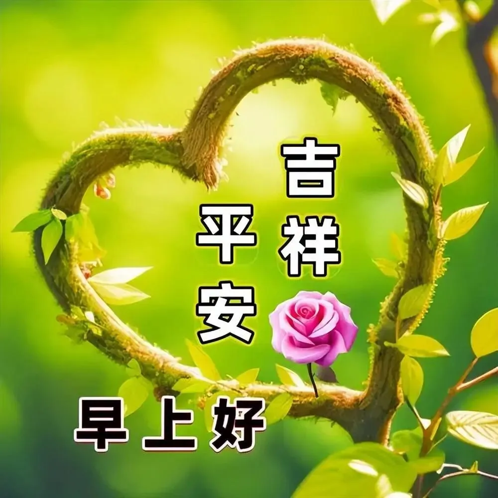 早安,早上好,上午好