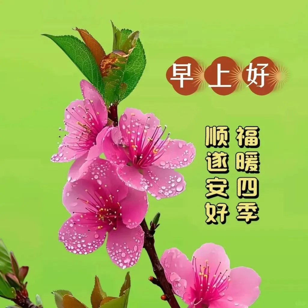 早安,早上好,上午好