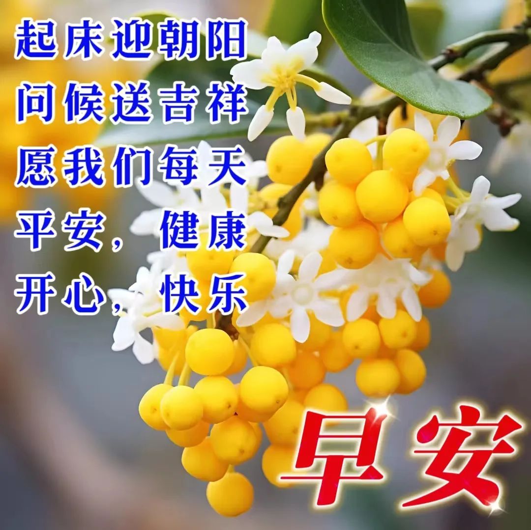 早安,早上好,上午好