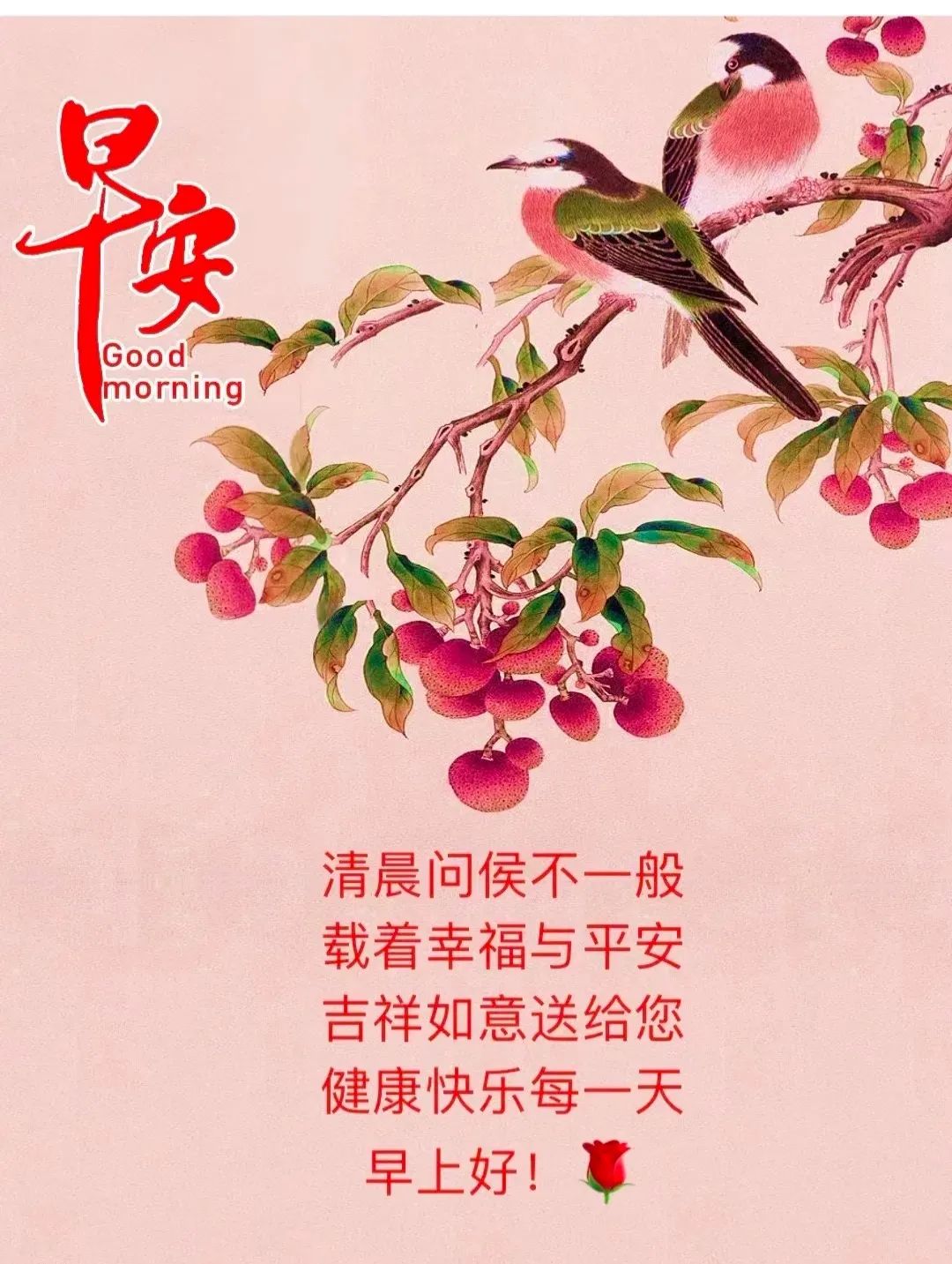 早安,早上好,上午好