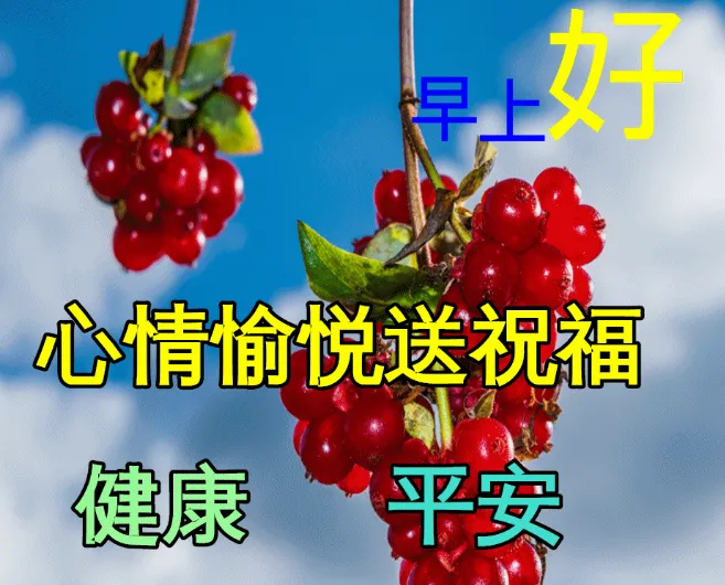 早安,早上好,上午好