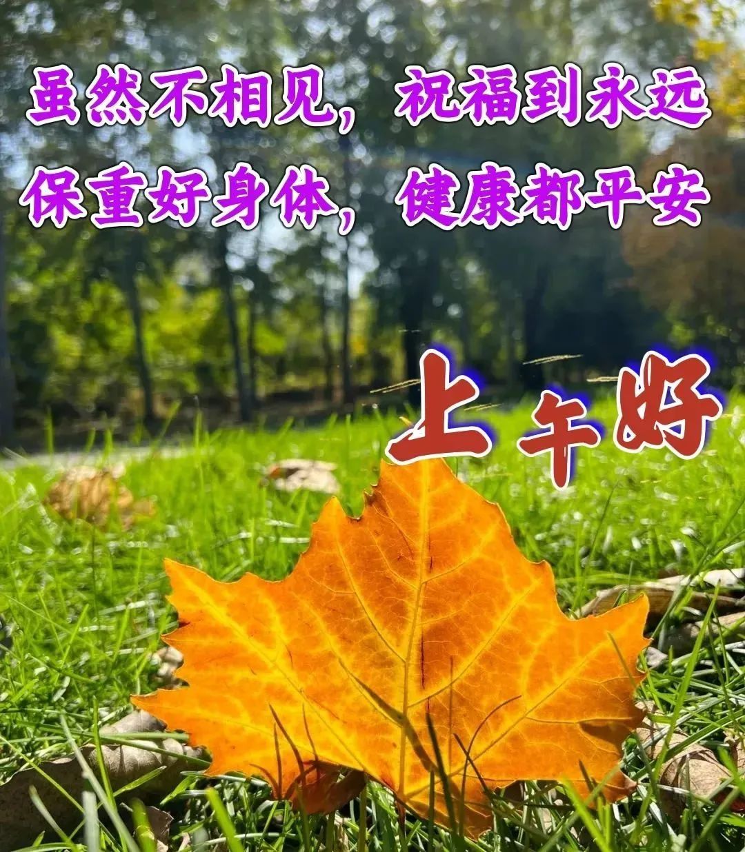上午好