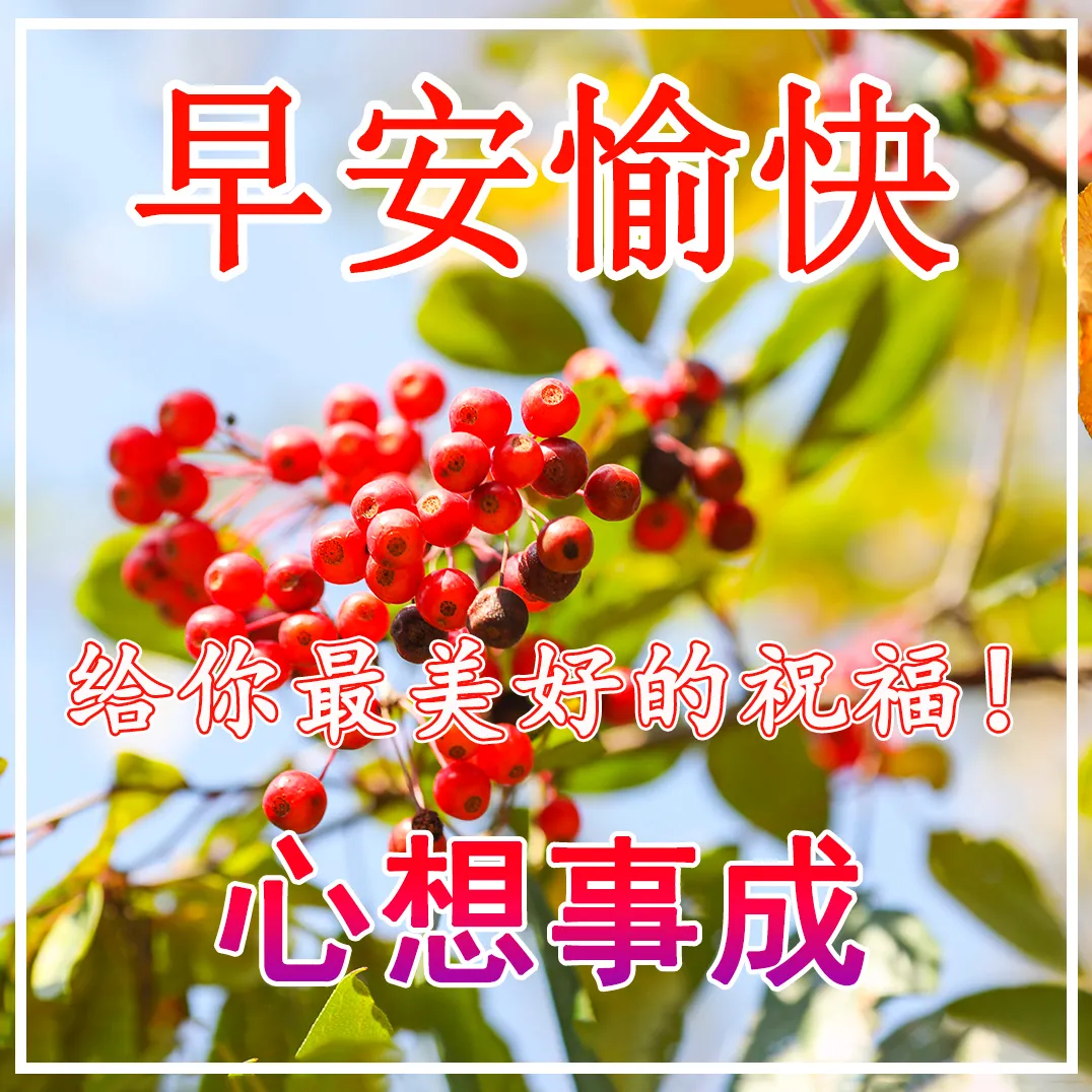早安,早上好,上午好