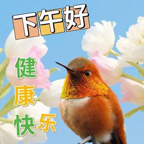 下午好