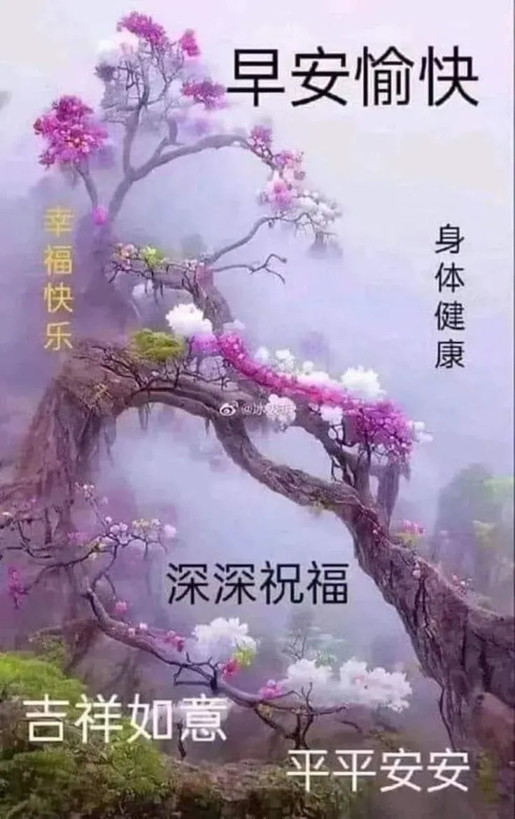 早安,早上好,上午好
