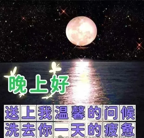 晚上好,晚安
