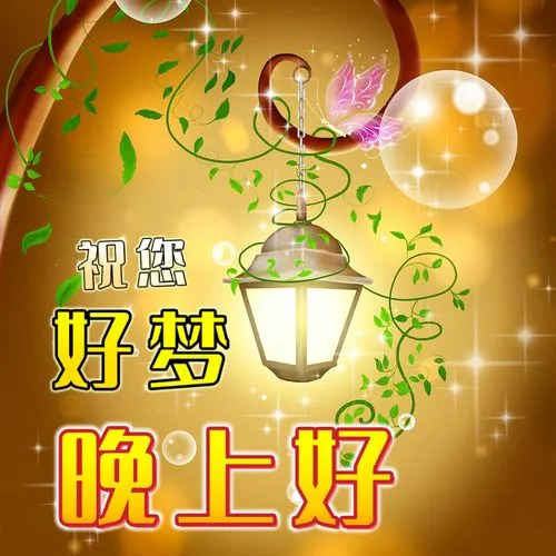 晚上好,晚安