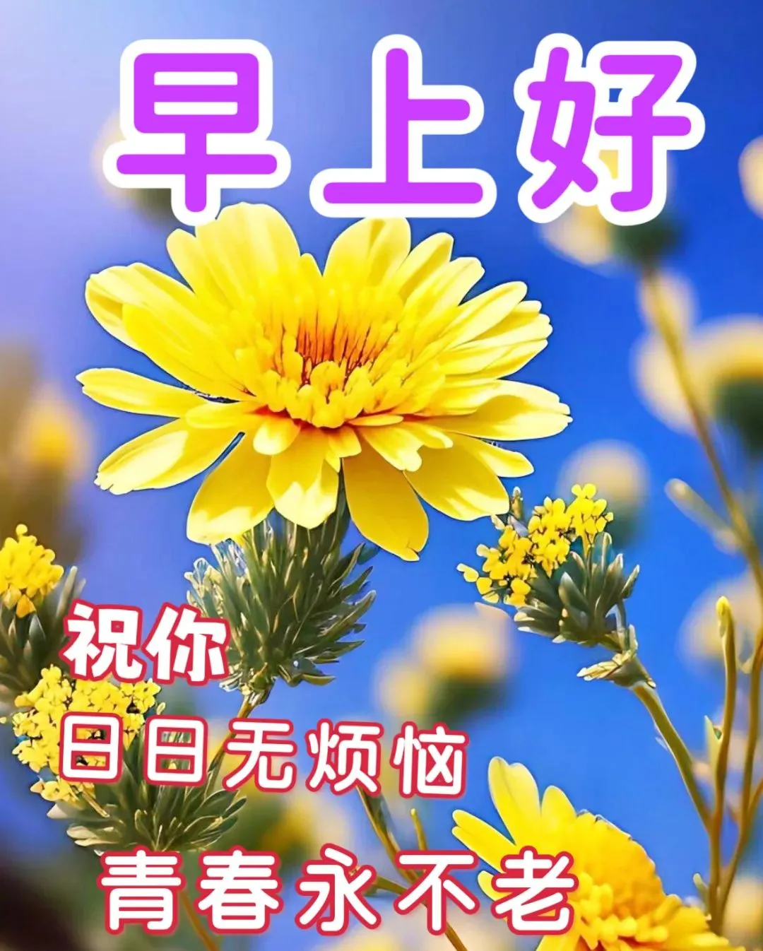 早安,早上好,上午好