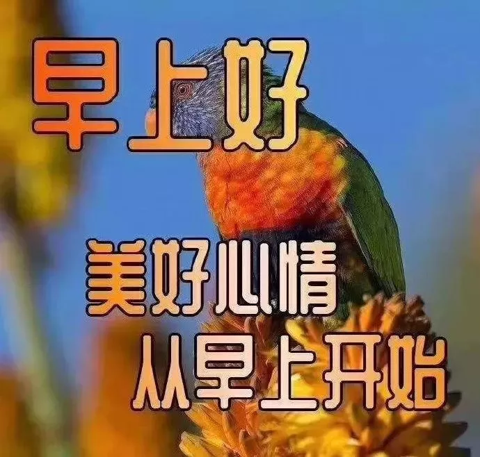 早安,早上好,上午好