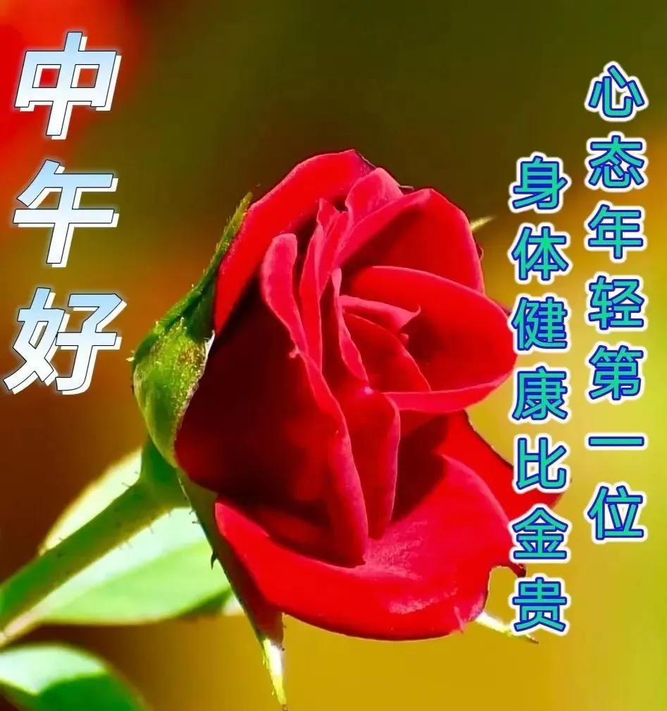 中午好,午安
