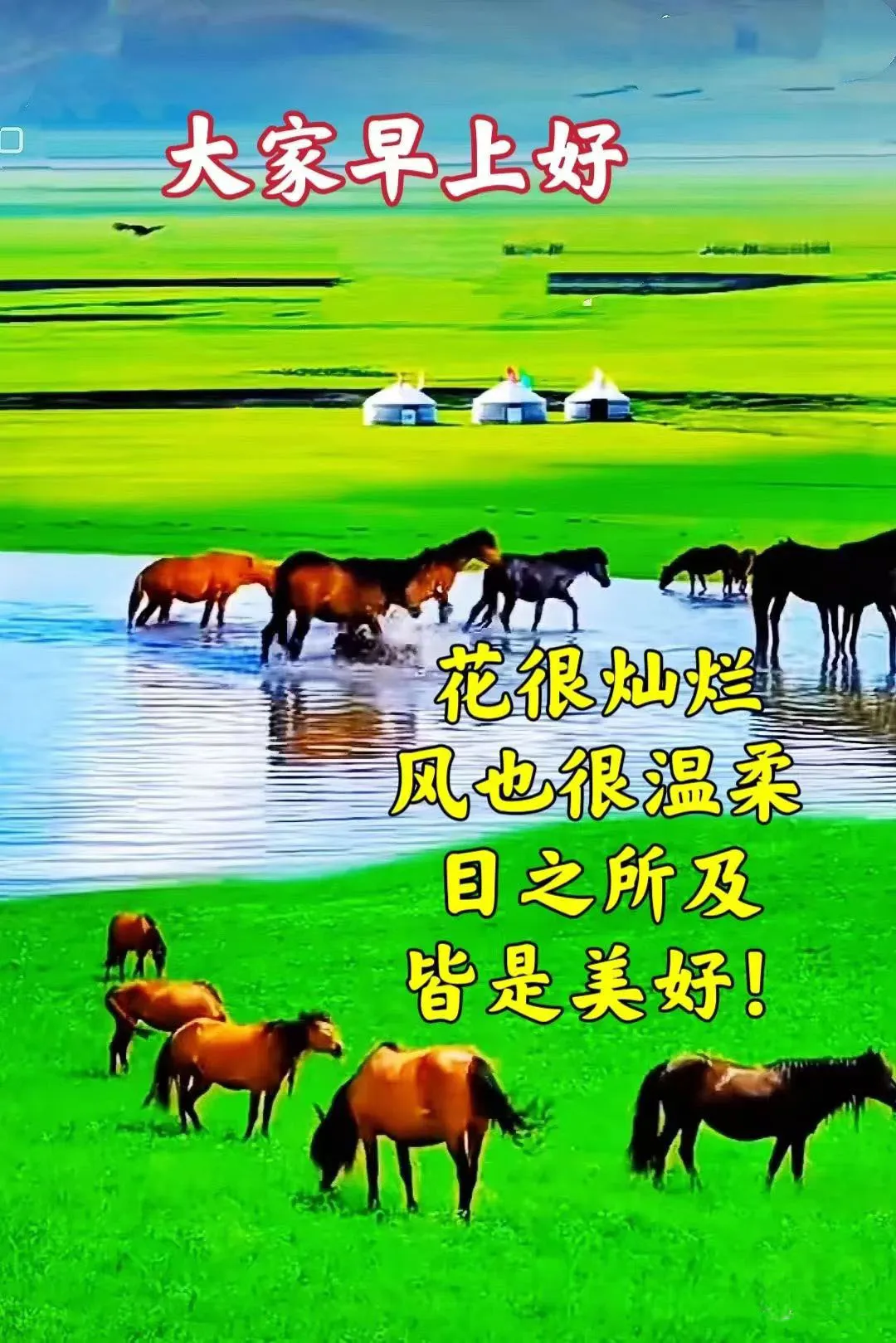 早安,早上好,上午好