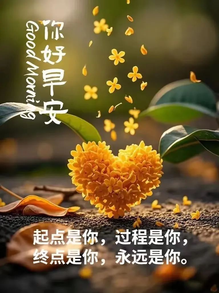 早安,早上好,上午好