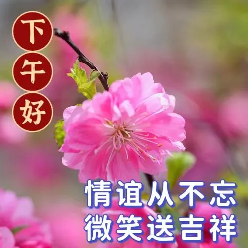 下午好