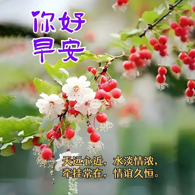 早安,早上好,上午好