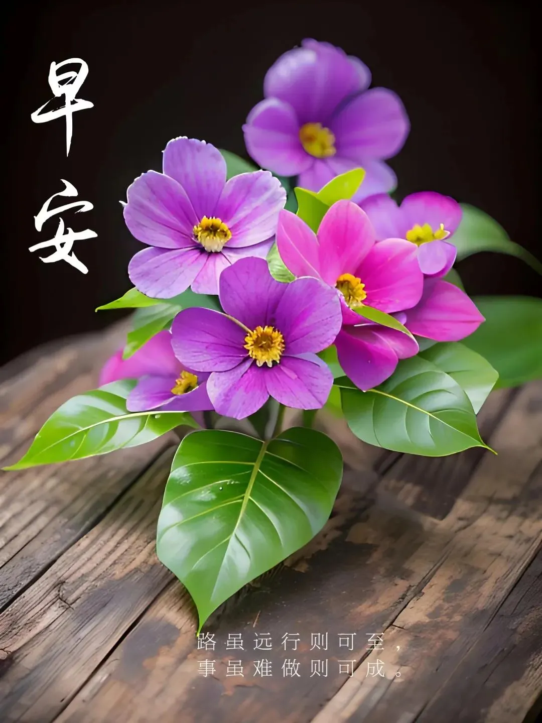 早安,早上好,上午好