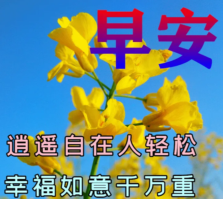 早安,早上好,上午好