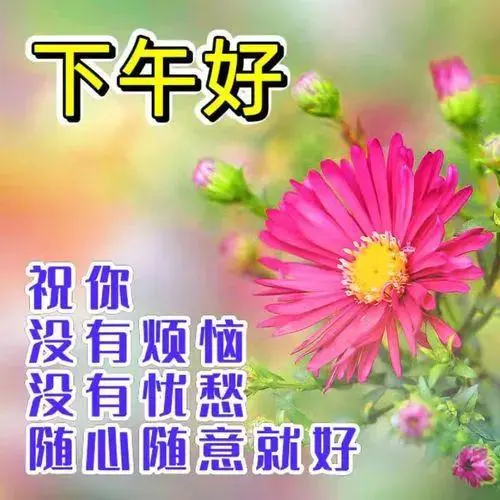 下午好