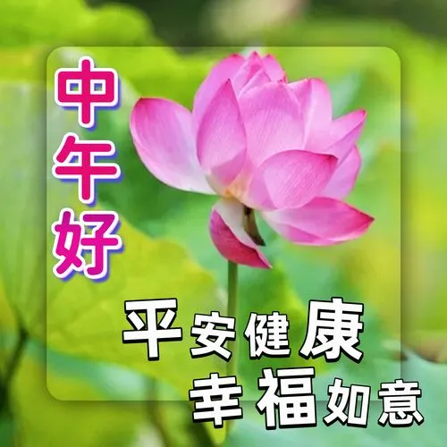 午安,中午好