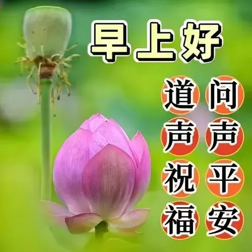 早安,早上好,上午好