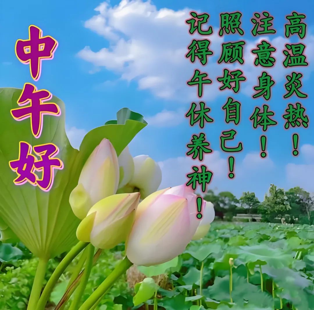 中午好,午安