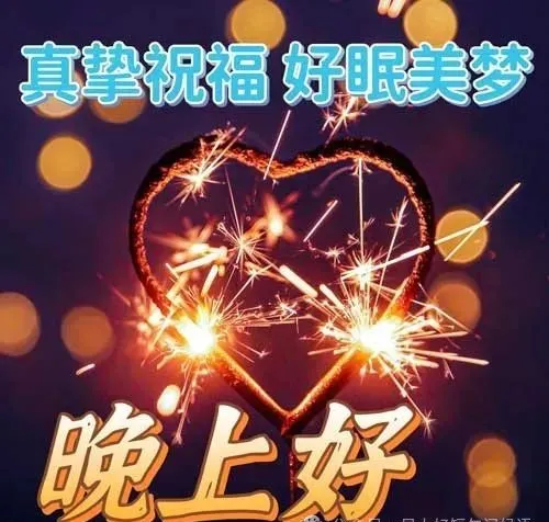 晚上好,晚安