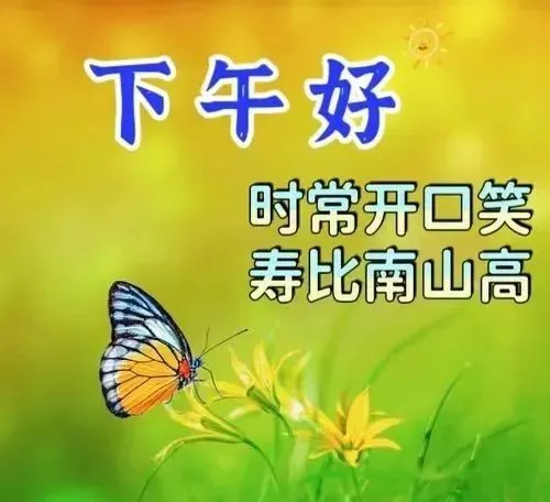 下午好