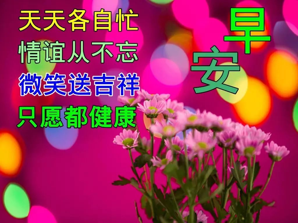 早安,早上好,上午好