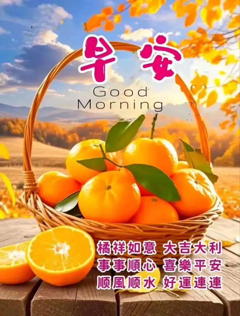 早安,早上好,上午好