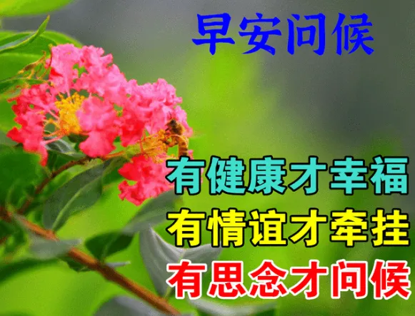 早安,早上好,上午好