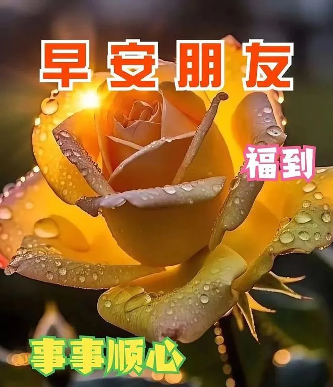 『周二早安』今日最新漂亮的早安图片祝福，祝福天天都有，健康四季相守