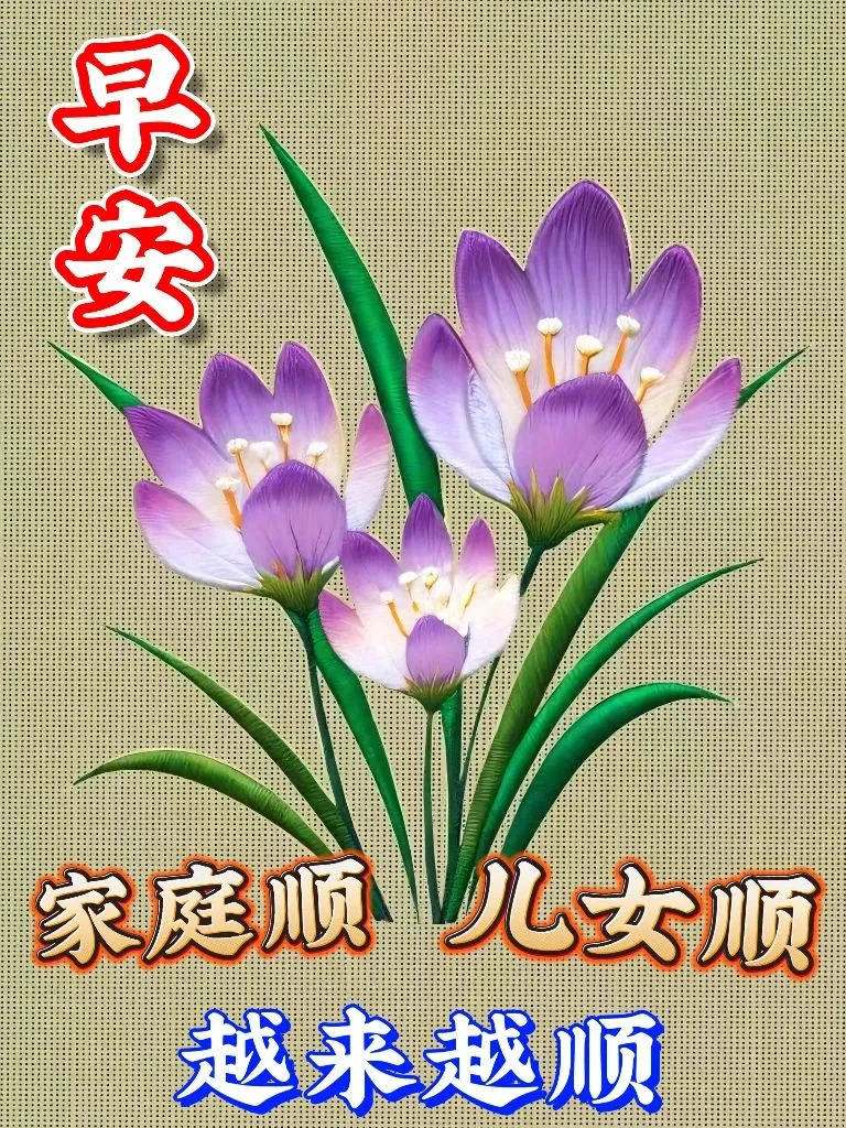 早安,早上好,上午好
