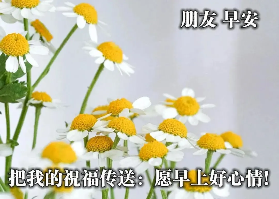 早安,早上好,上午好