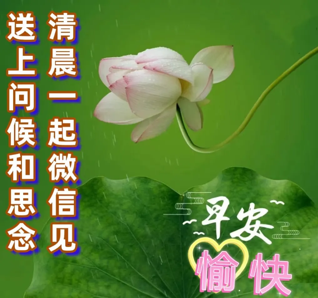 早安,早上好