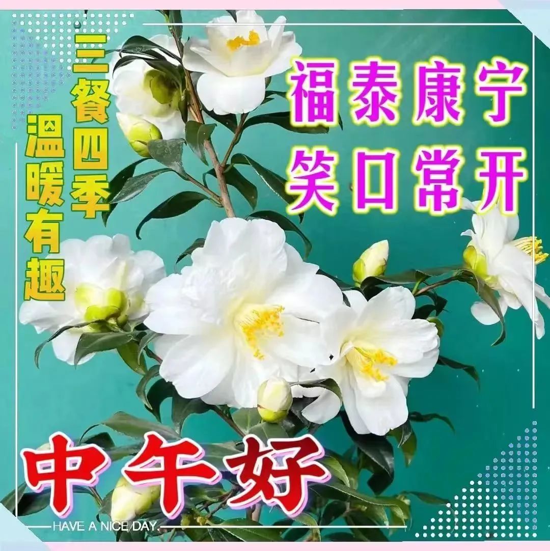 中午好,午安