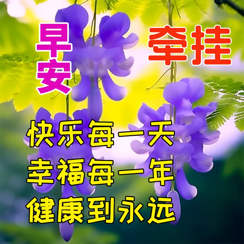 早安,早上好,上午好