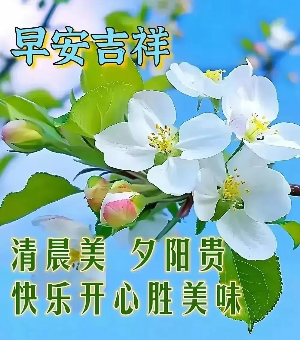 早安,早上好,上午好