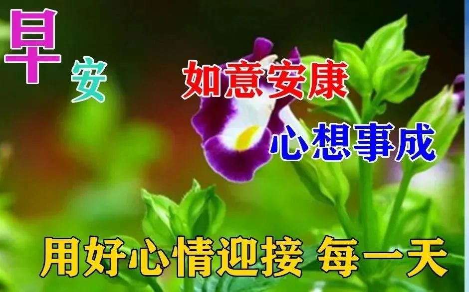 早安,早上好,上午好