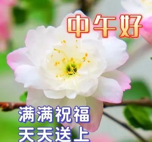 中午好,午安