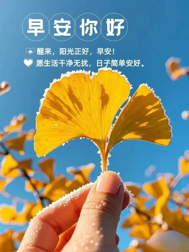 早安,早上好,上午好