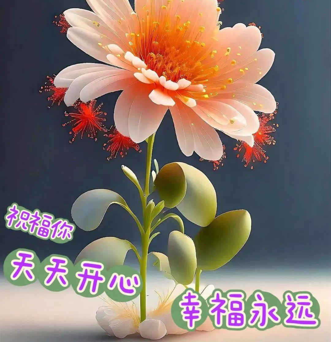 下午好