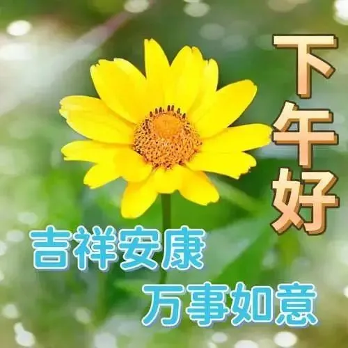 下午好