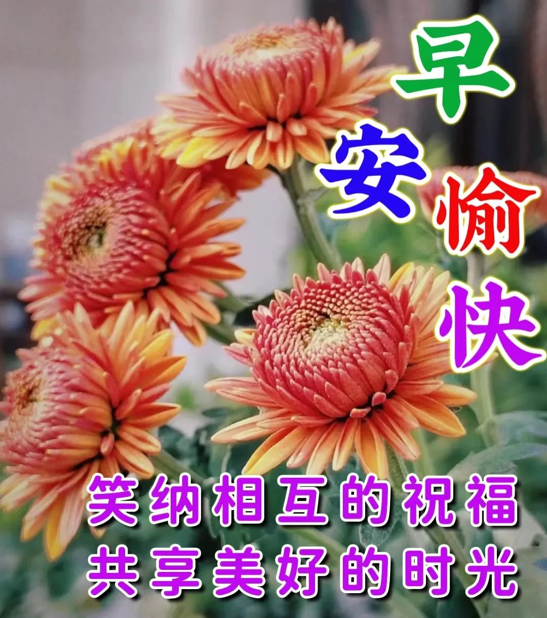 早安,早上好,上午好