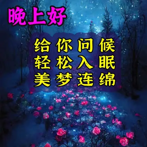 晚上好,晚安