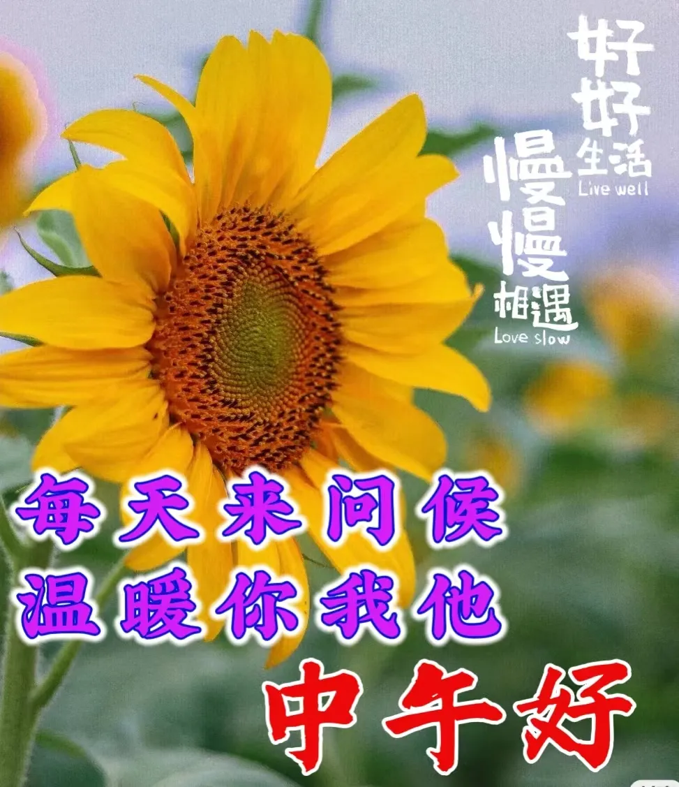 新版非常好看的中午好图片大全，温馨中午好祝福美图