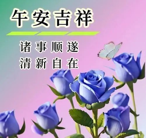 中午好,午安