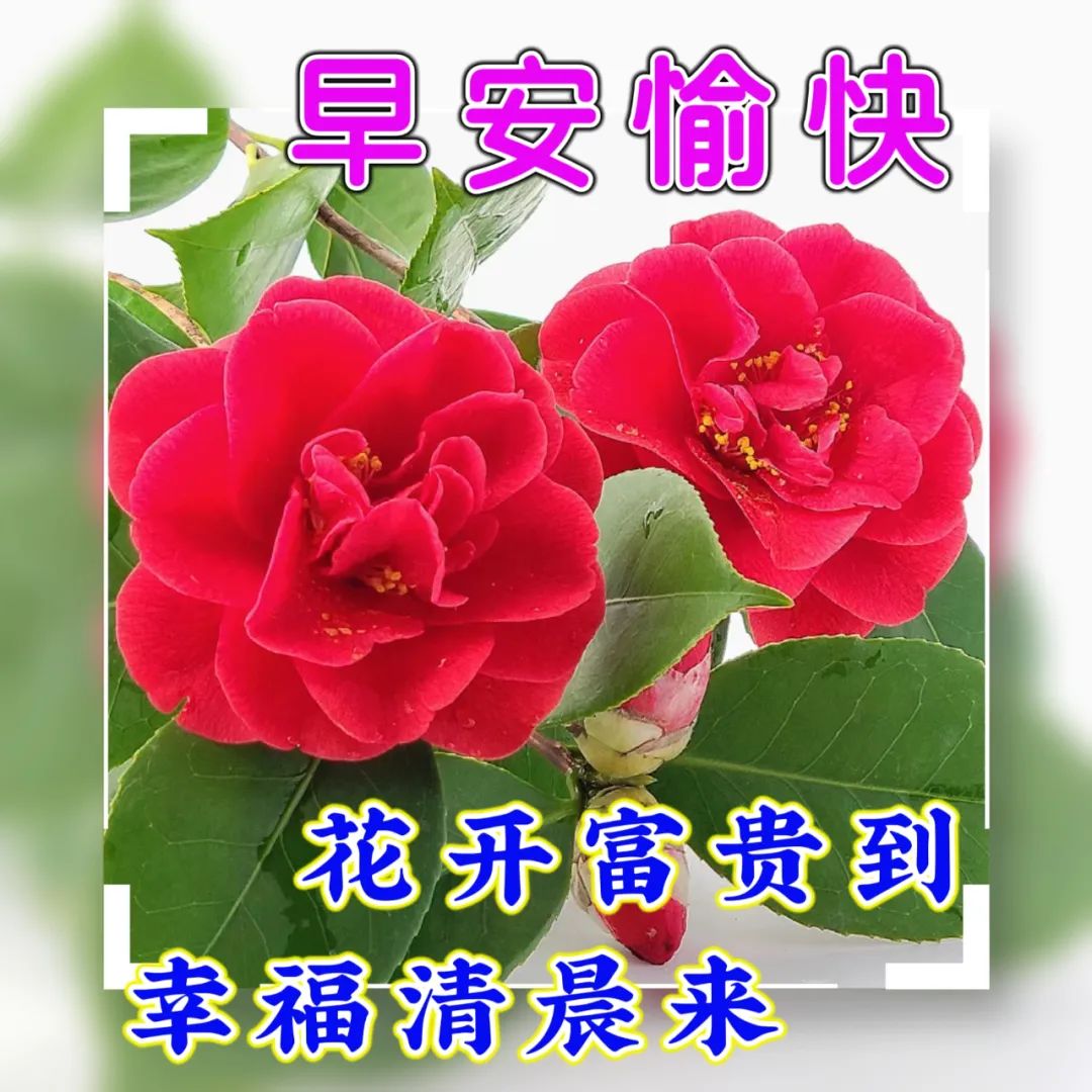 早安,早上好