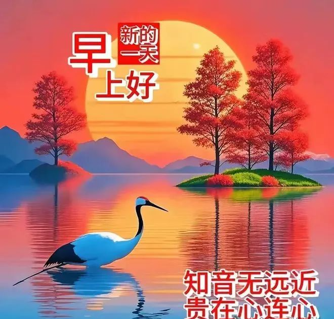 早安,早上好,上午好